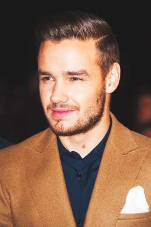 Liam Payne Haircut Men's Hairstyles & Haircuts X