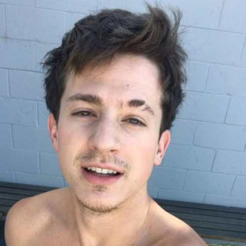 Charlie Puth Hairstyle - Men's Hairstyles + Haircuts X