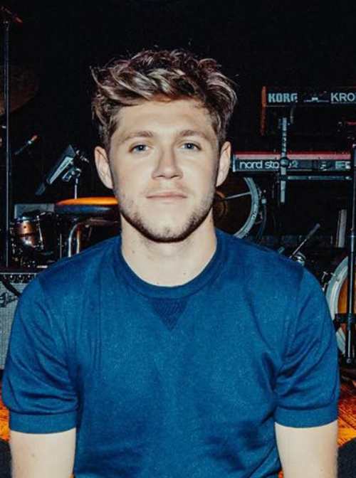 Niall Horan Hairstyle [UPDATED 2020] - Men's Hairstyles 