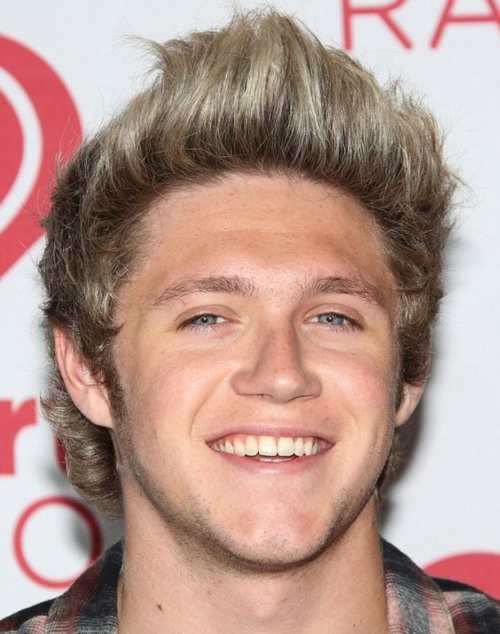 Niall Horan Hairstyle [UPDATED 2020] - Men's Hairstyles 